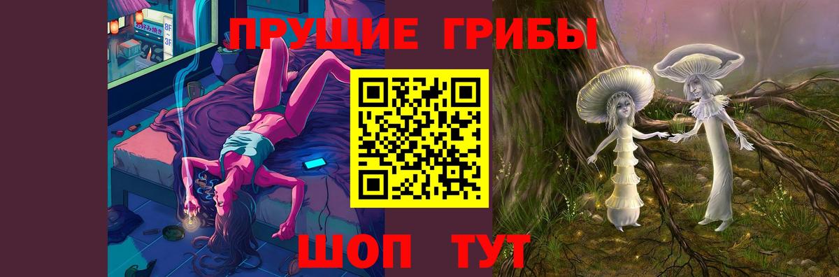 Псилоцибиновые грибы Cubensis  Вход с VPN  сколько стоит  Грозный 