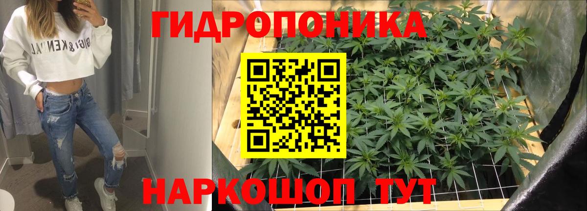 Грозный  Бошки Шишки Amnesia  Конопля AK-47  Вход с VPN  Конопля LSD WEED  Канабис конопля 